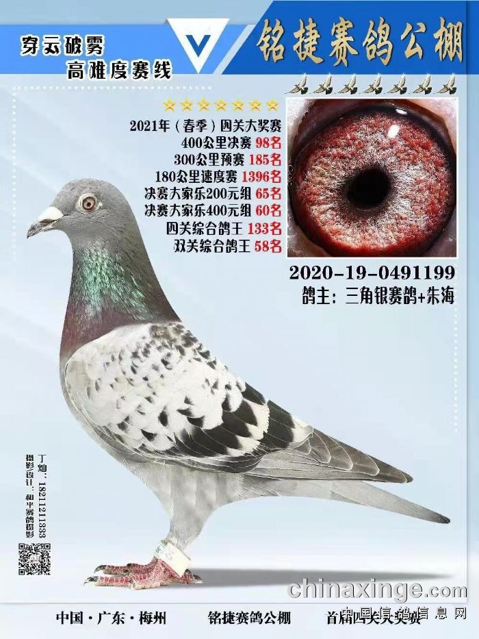红枫大棚:热烈祝贺&ldquo;广东祥高黄焕文+三角银赛鸽朱海&rdquo;